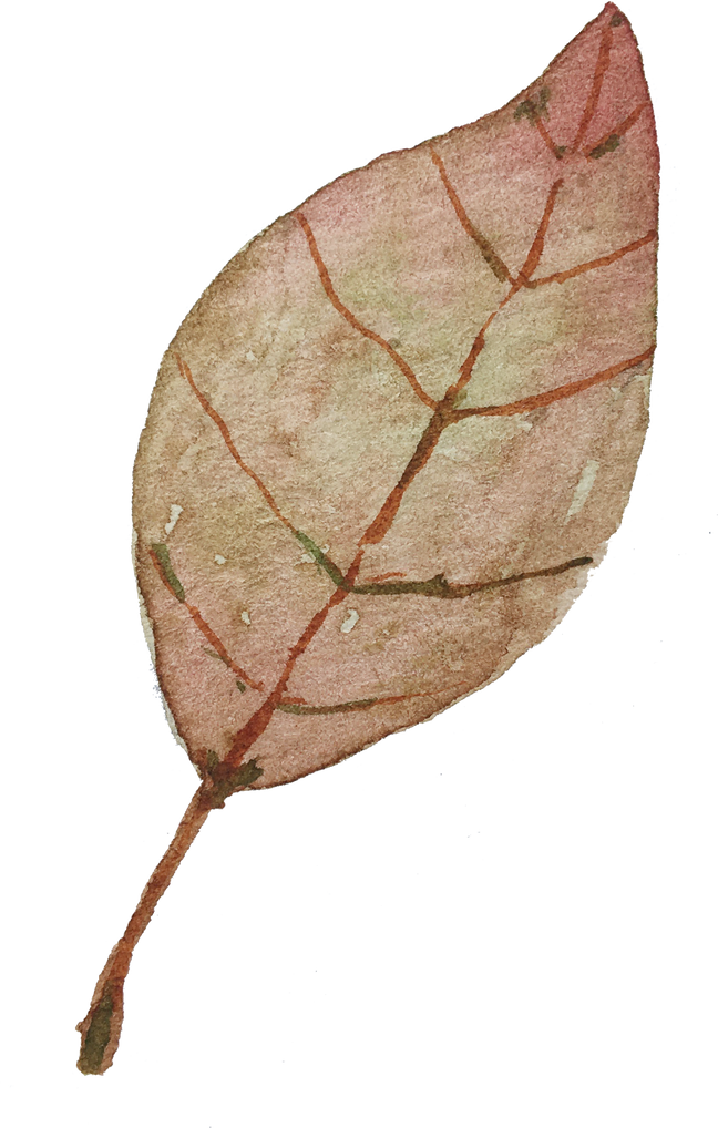 watercolor leaf